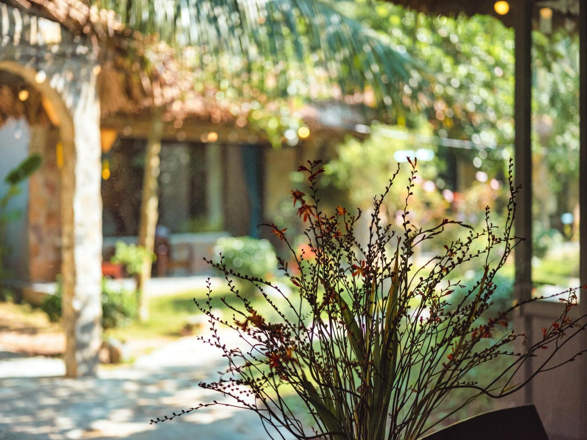 Cozy Beer Garden Homestay Ninh Bình Extérieur photo