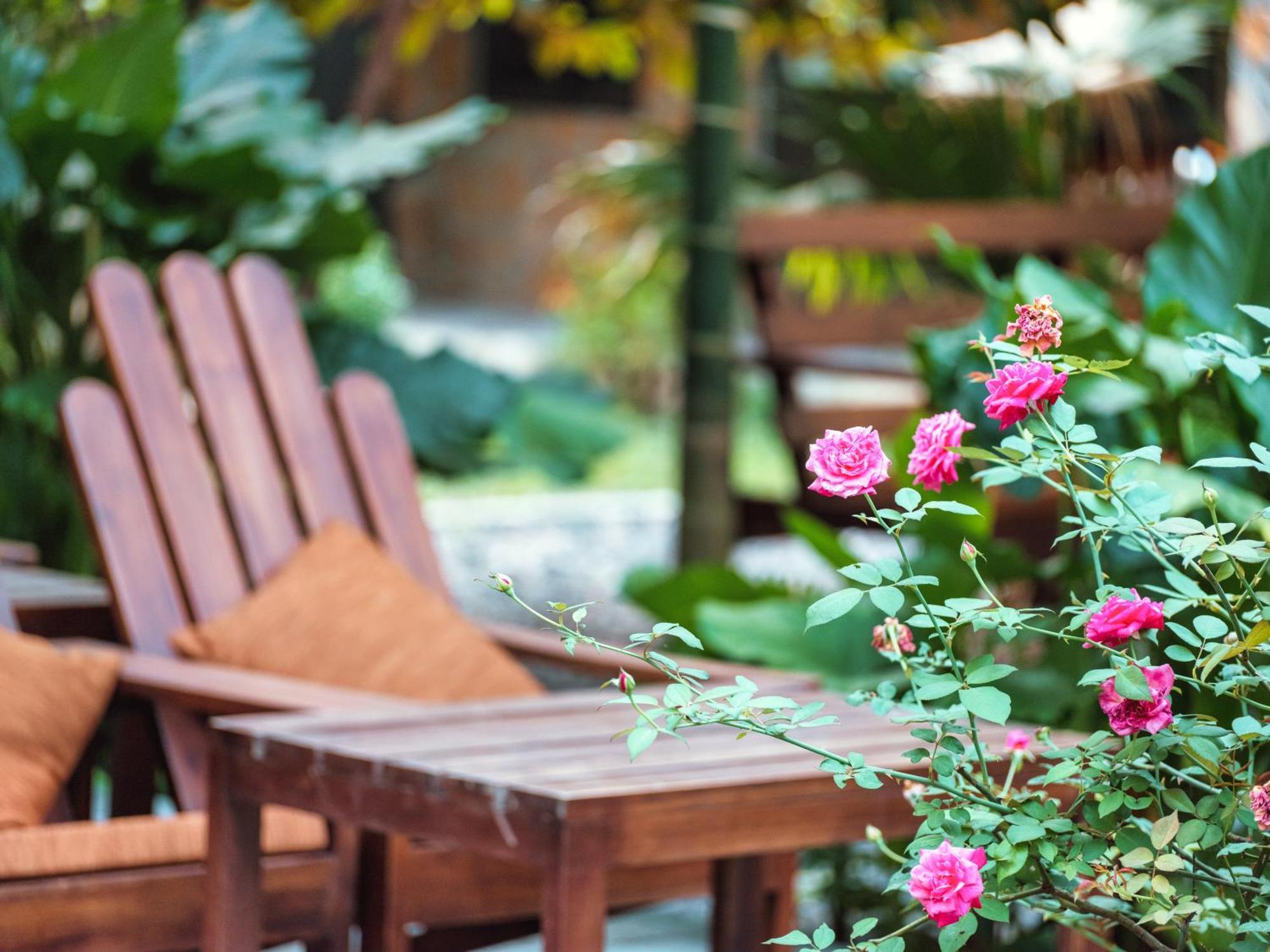 Cozy Beer Garden Homestay Ninh Bình Extérieur photo